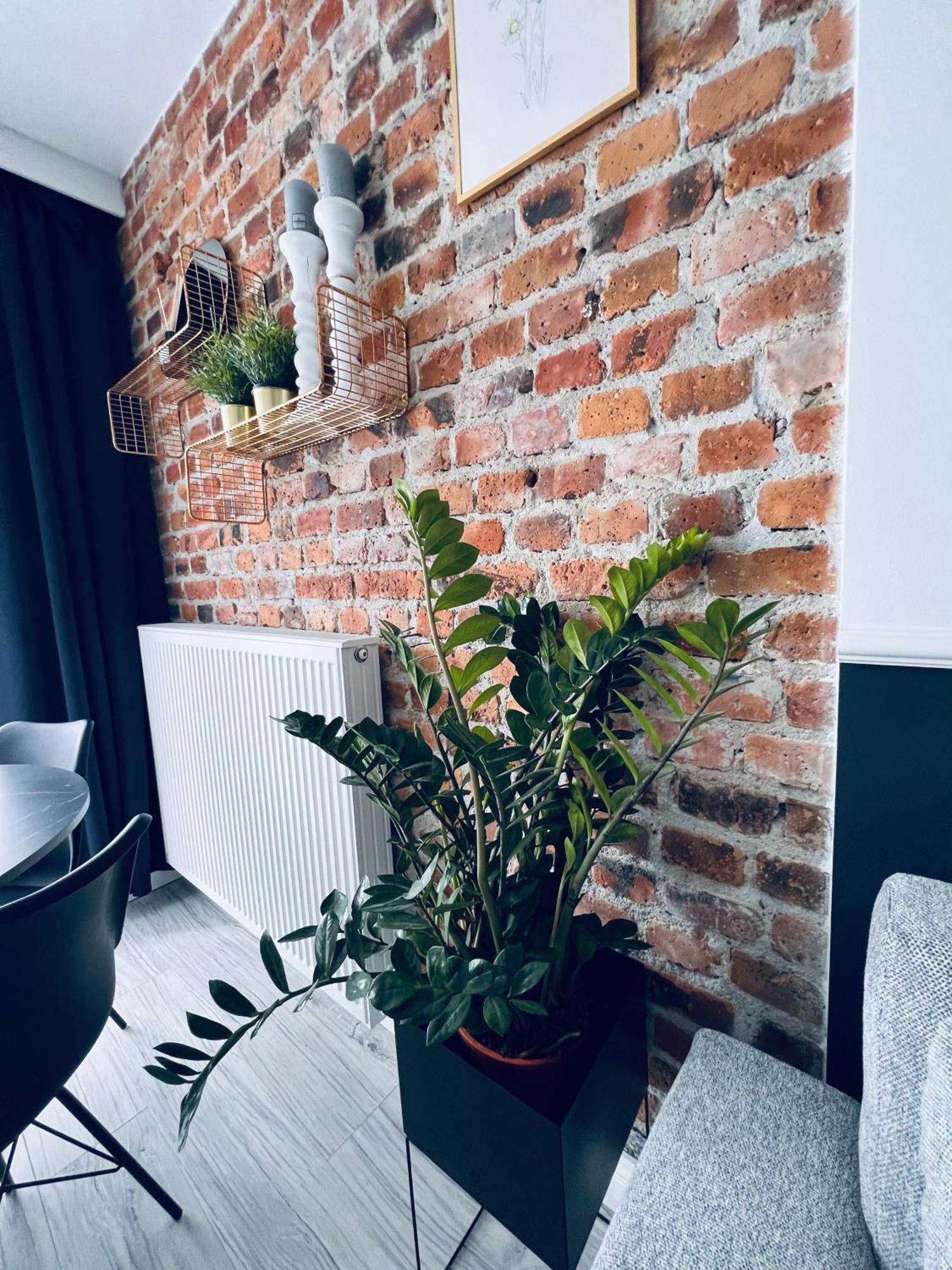 Apartamenty Zary * Zary (Lubusz)
